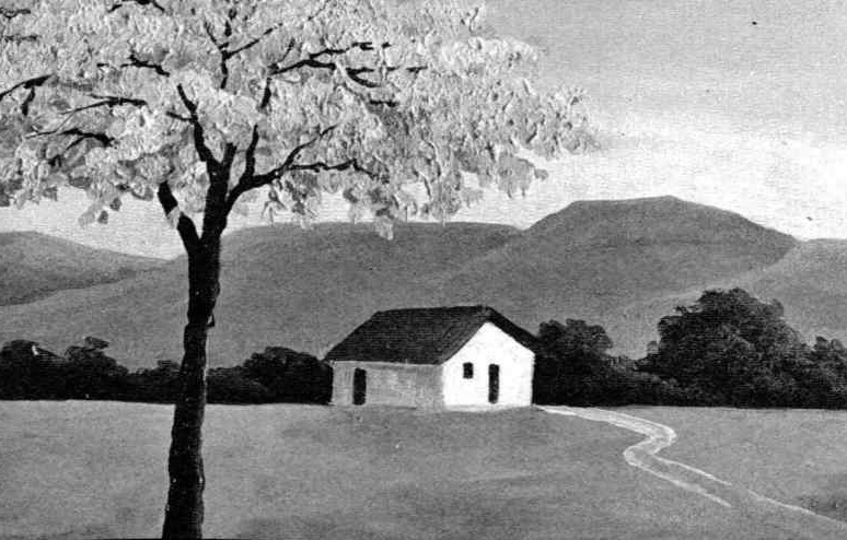 A saga do Santo Chico Mocó